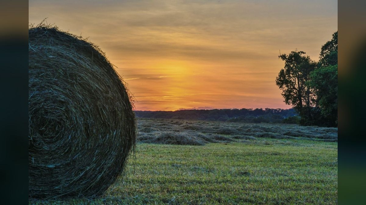 Top 10 Best Towns to Live in Maryland — figure 6