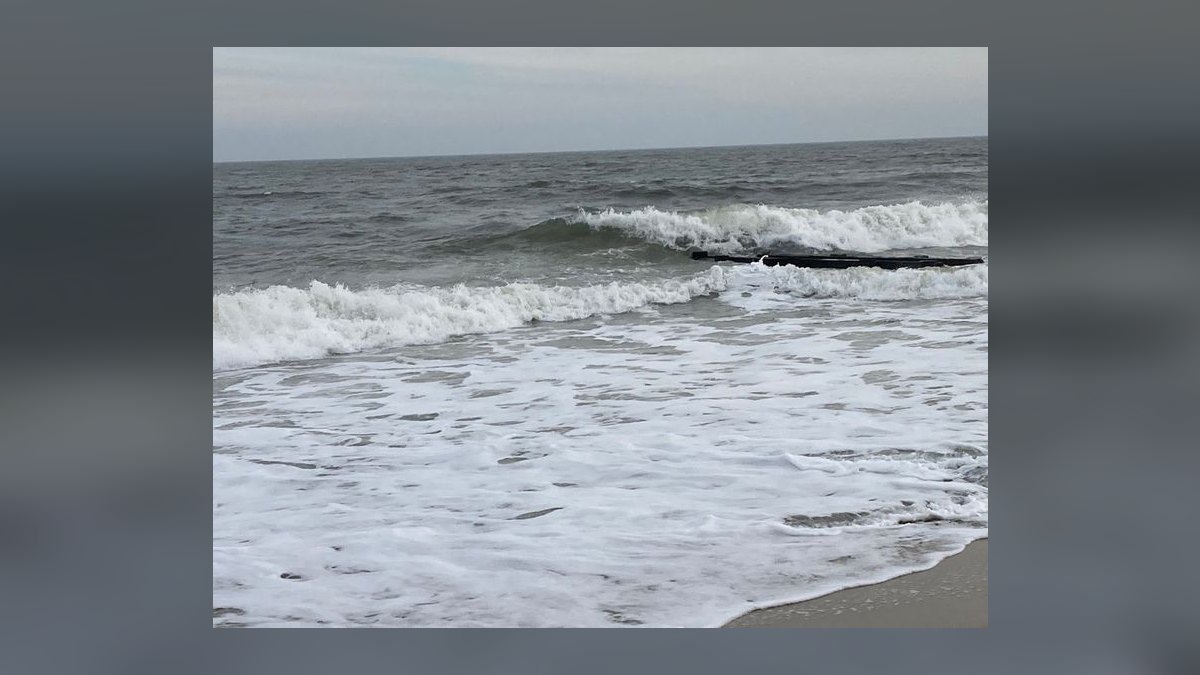 Top 10 Best Towns on Maryland's Eastern Shore in 2027 — figure 9
