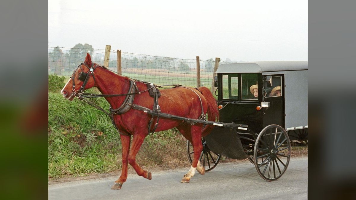 Top 10 Best Towns to Live in Pennsylvania — figure 3