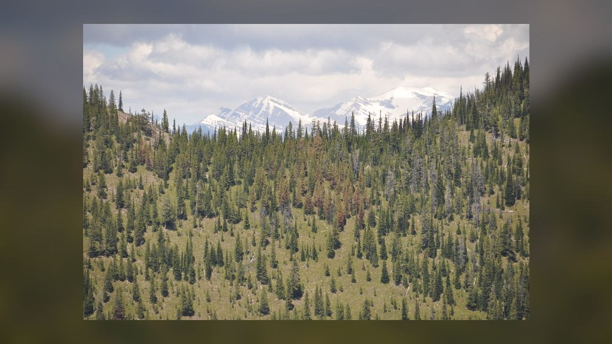 Top 10 Best Towns to Live in the Mountain West in 2027 — figure 8
