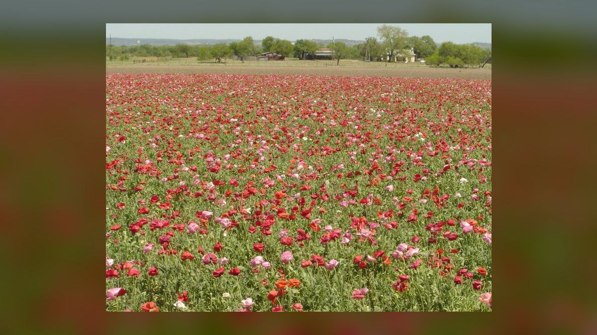 Top 10 Best Towns to Retire in America in 2027 — figure 8