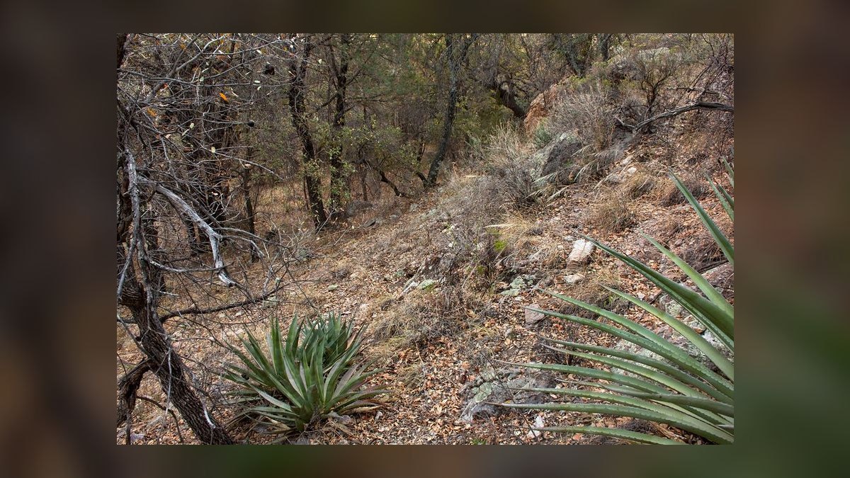 Top 10 Best Towns to Live in Arizona in 2027 — figure 10