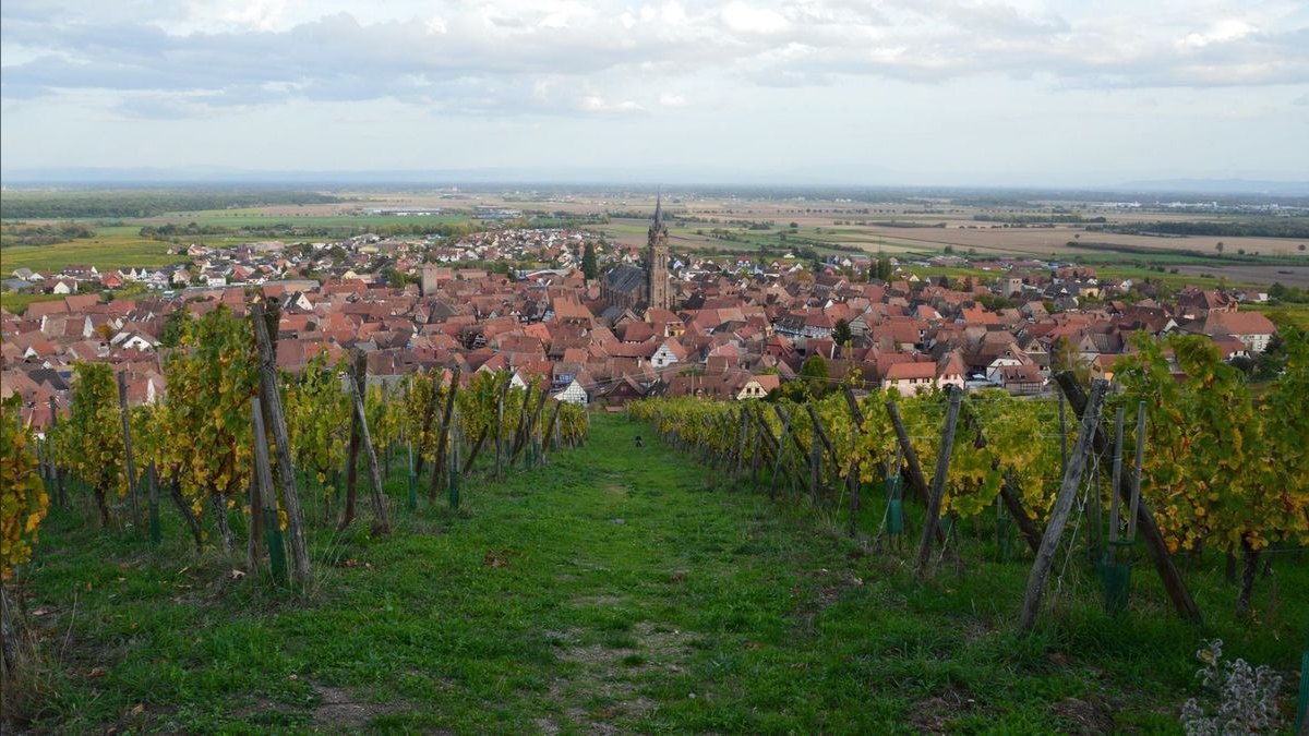 Top 10 Best Wine Country Towns in America — figure 1