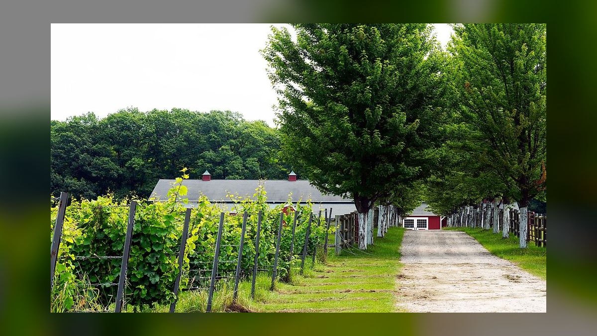 Top 10 Best Wine Country Towns in America in 2027 — figure 7