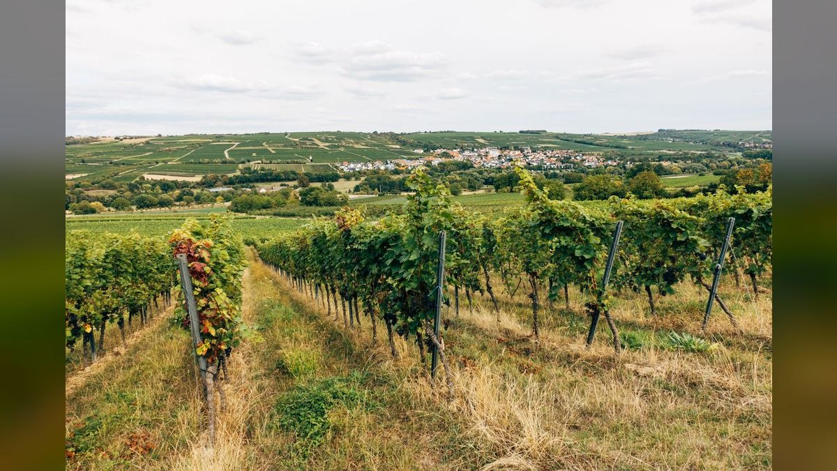 Top 10 Best Wine Country Towns in America