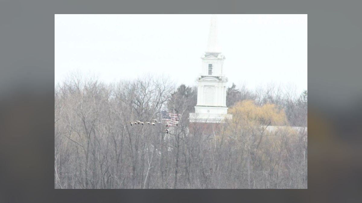 Top 10 Best Towns to Live in Michigan in 2027 — figure 7