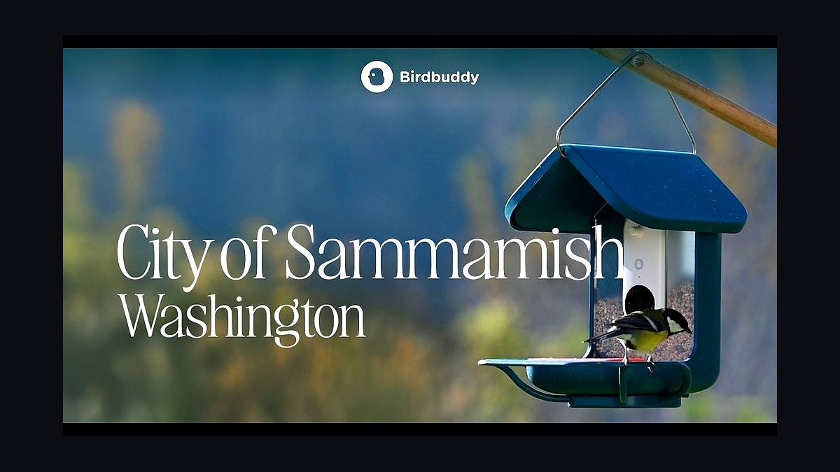 Top 10 Best Towns to Live in Washington in 2027