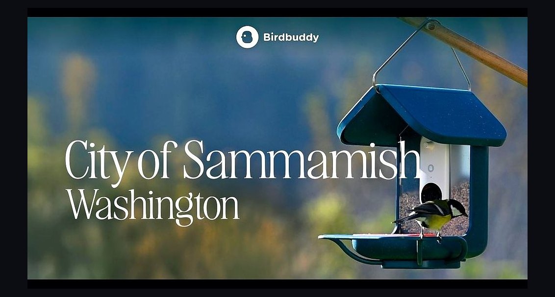 Top 10 Best Towns to Live in Washington in 2027