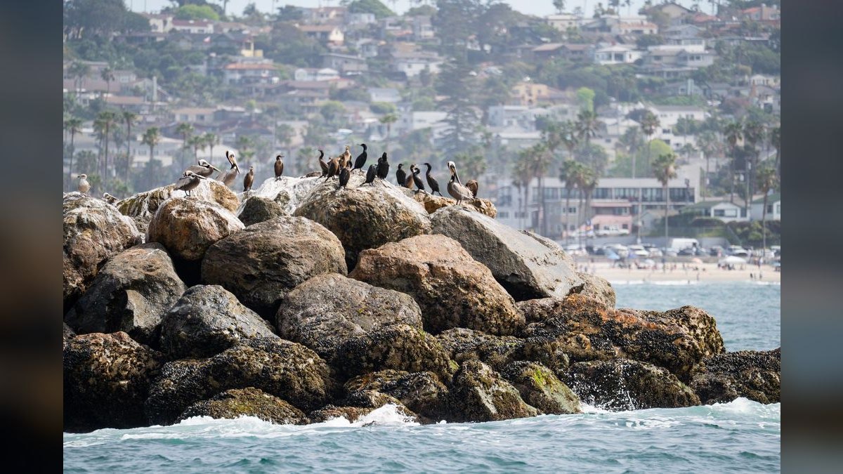 Top 10 Best Suburbs of San Diego — figure 3