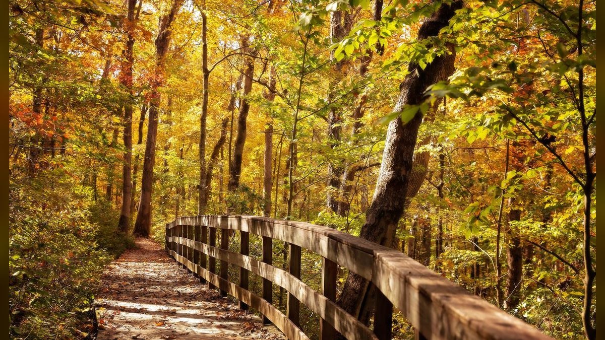Top 10 Best Towns to Live in Kentucky — figure 6