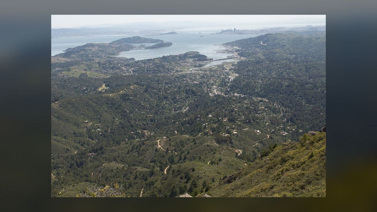 Top 10 Best Suburbs of San Francisco in 2027 — figure 7