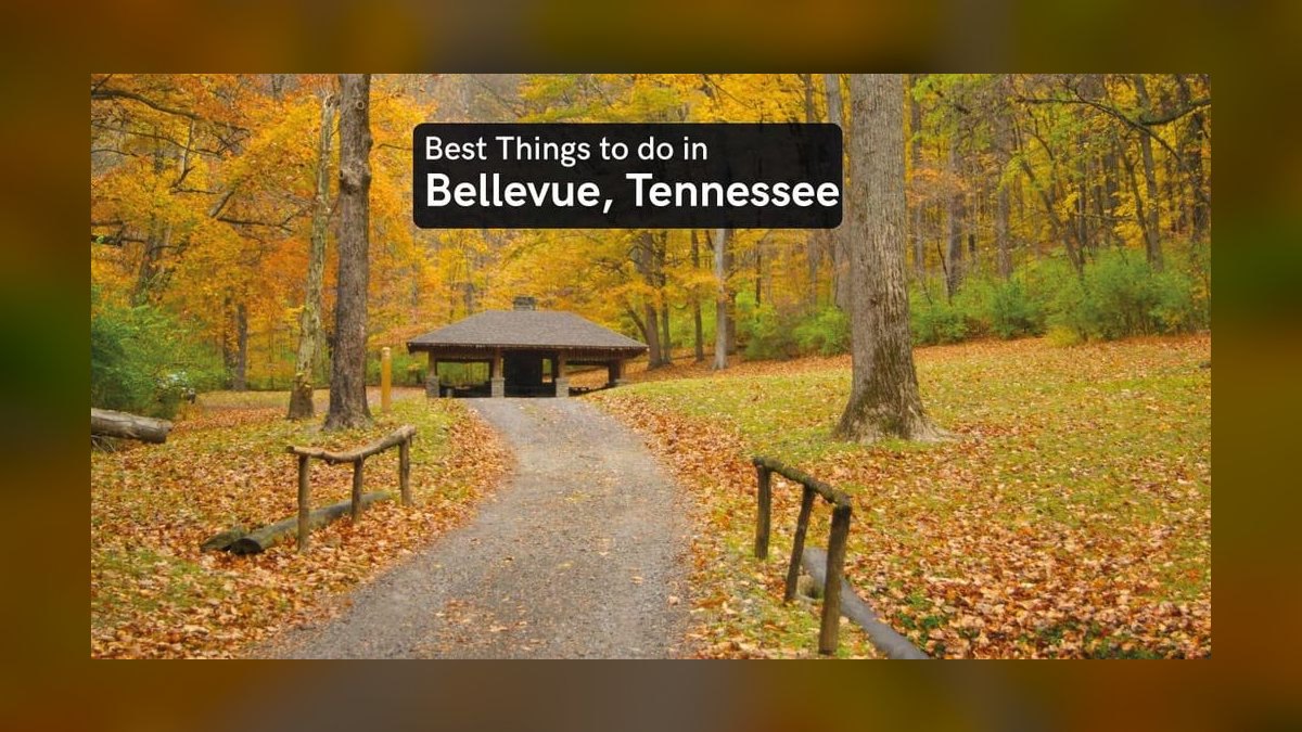 How does Tennessee's unique geography, from the Mississippi Delta to the Great Smoky Mountains, shape its distinct regional cuisines, music scenes, and cultural identities — figure 4