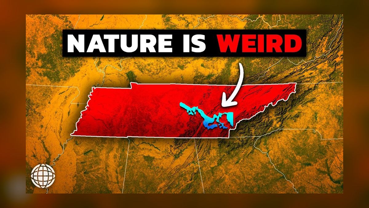 How does Tennessee's unique geography, from the Mississippi Delta to the Great Smoky Mountains, shape its distinct regional cuisines, music scenes, and cultural identities?