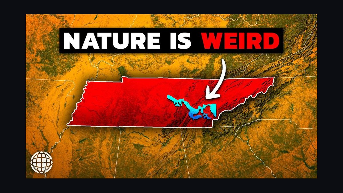 How does Tennessee's unique geography, from the Mississippi Delta to the Great Smoky Mountains, shape its distinct regional cuisines, music scenes, and cultural identities?