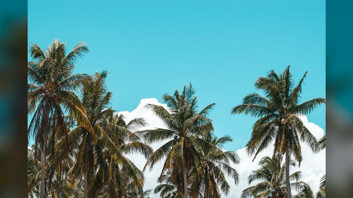 Top 10 Tropical Vacation Destinations in 2027 — figure 3