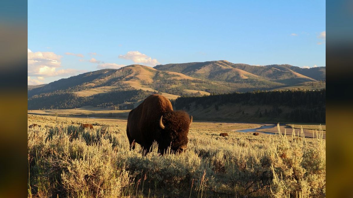 Top 10 National Parks in the US in 2027 — figure 4