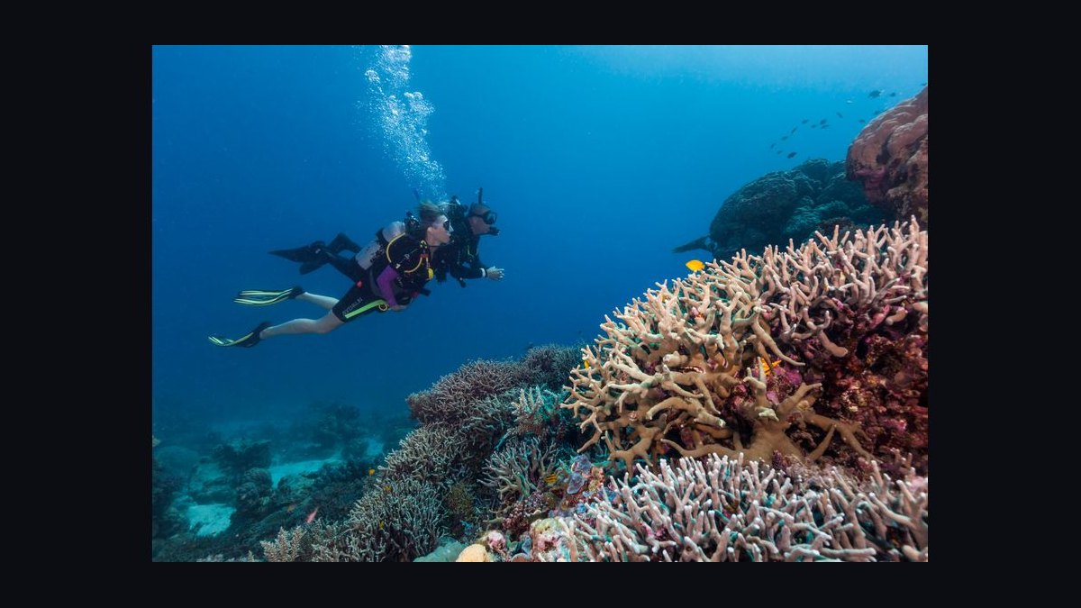 Top 10 Adventure Trips in the World in 2027 — figure 10