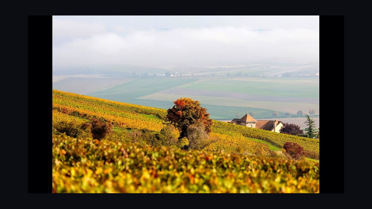 Top 10 Wine Country Destinations in the World in 2027 — figure 8