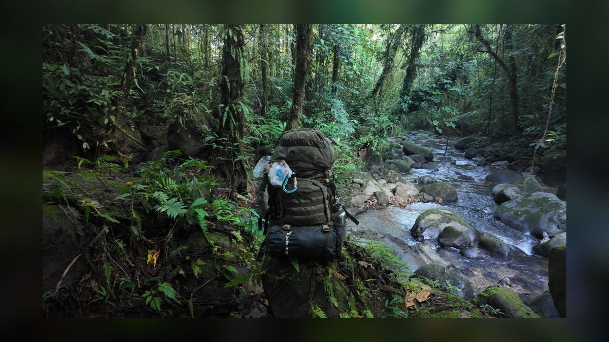 Top 10 Wildlife and Nature Trips in the World in 2027 — figure 5