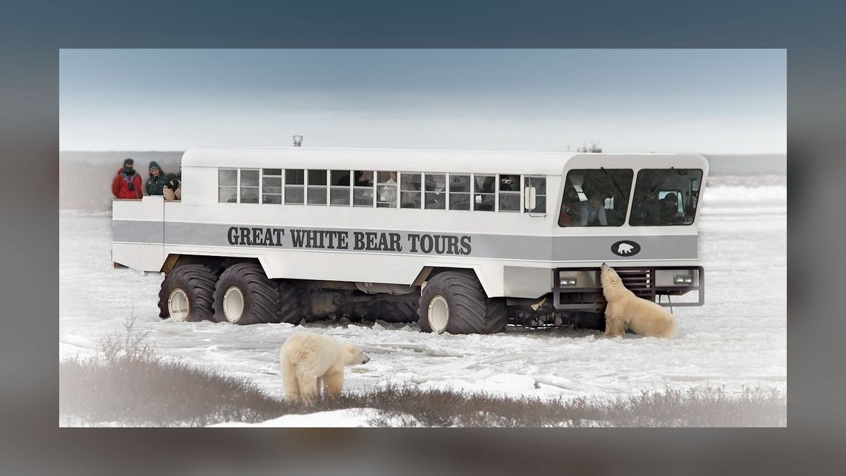 Top 10 Wildlife and Nature Trips in the World in 2027 — figure 6