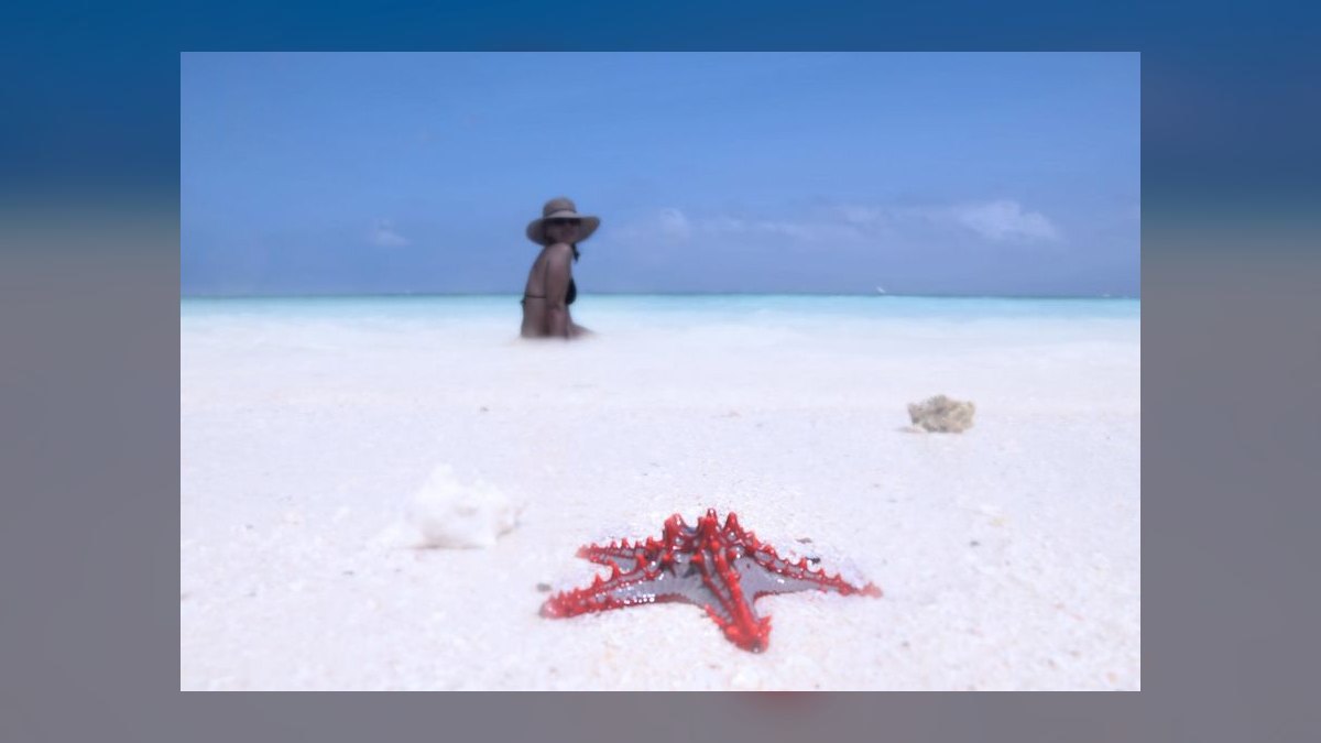 Top 10 Winter Sun Destinations in 2027 — figure 10