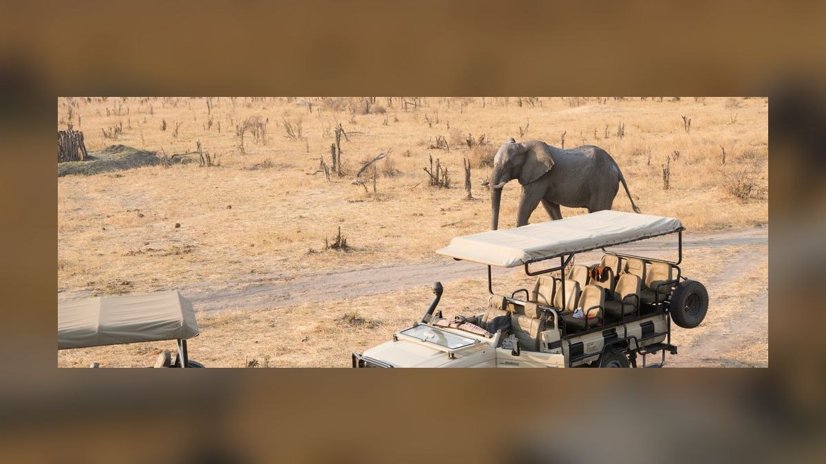Top 10 Safari Destinations in Africa in 2027 — figure 10
