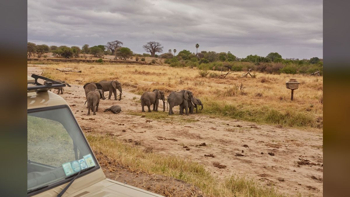Top 10 Safari Destinations in Africa in 2027 — figure 2