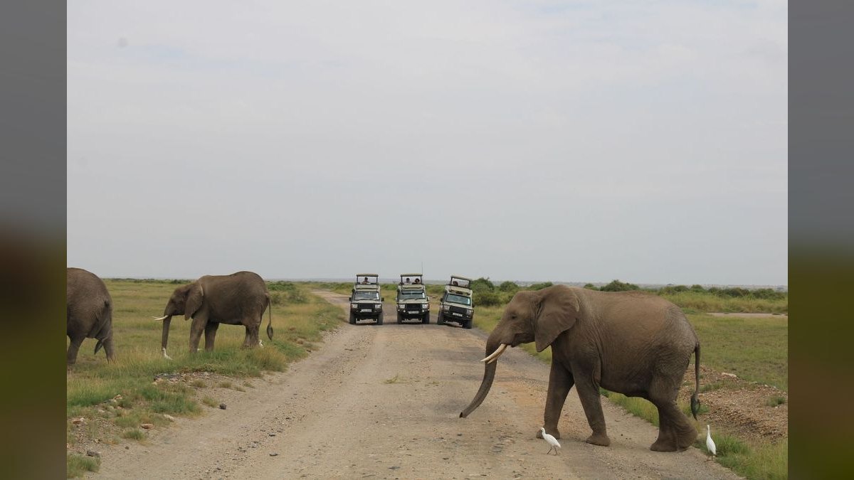 Top 10 Safari Destinations in Africa in 2027 — figure 4