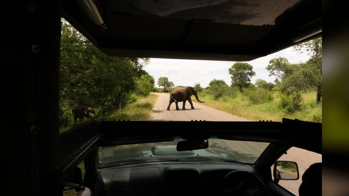 Top 10 Safari Destinations in Africa in 2027 — figure 5