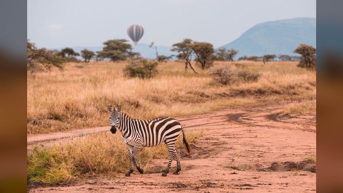 Top 10 Safari Destinations in Africa in 2027 — figure 6