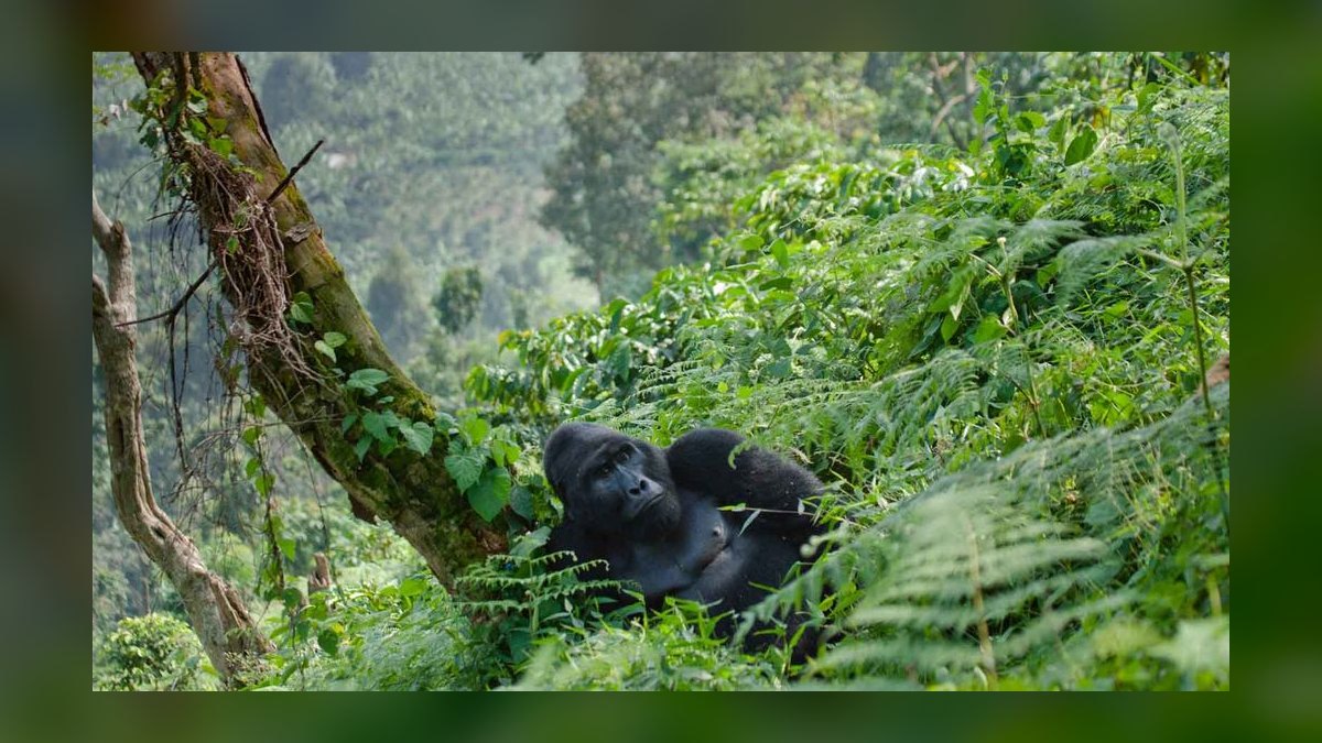 Top 10 Safari Destinations in Africa in 2027 — figure 9