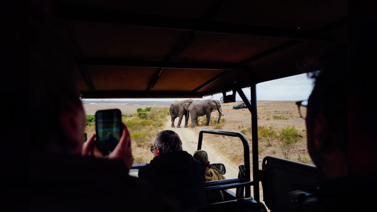 Top 10 Safari Destinations in Africa in 2027