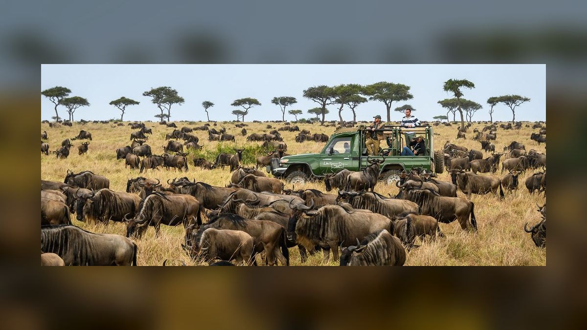 Top 10 Safari Destinations in Africa in 2027