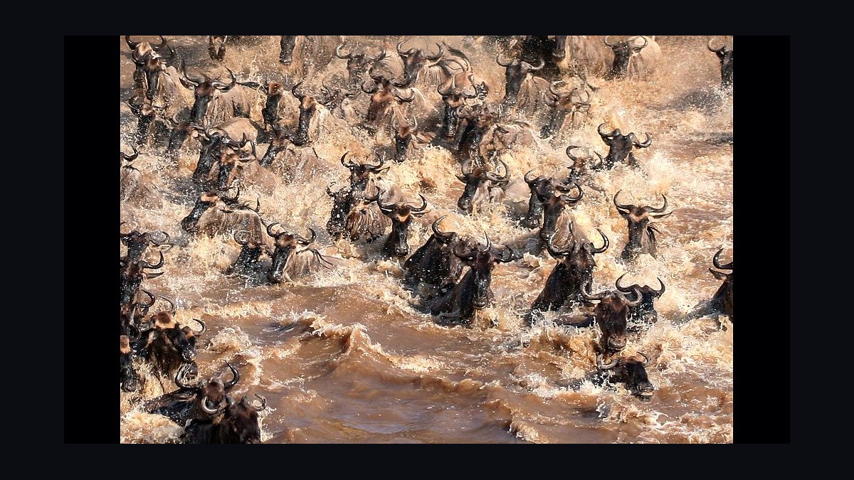 Top 10 Safari Destinations in Africa in 2027