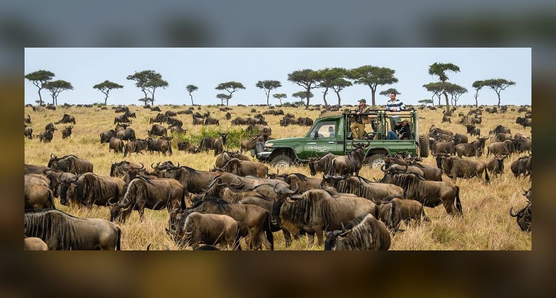 Top 10 Safari Destinations in Africa in 2027