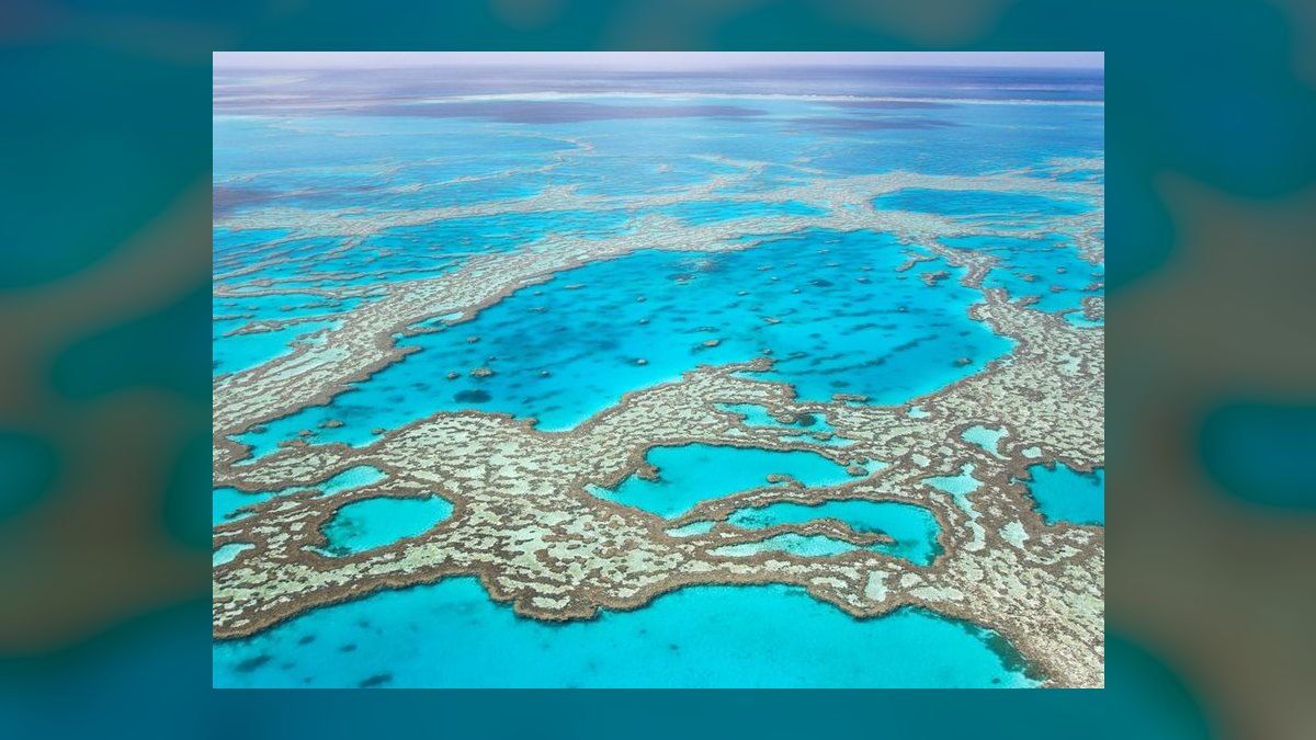 Top 10 Scuba Diving Destinations in the World in 2027 — figure 3