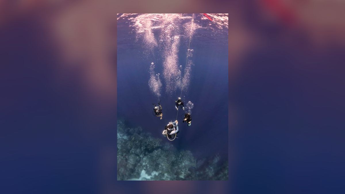 Top 10 Scuba Diving Destinations in the World in 2027 — figure 7
