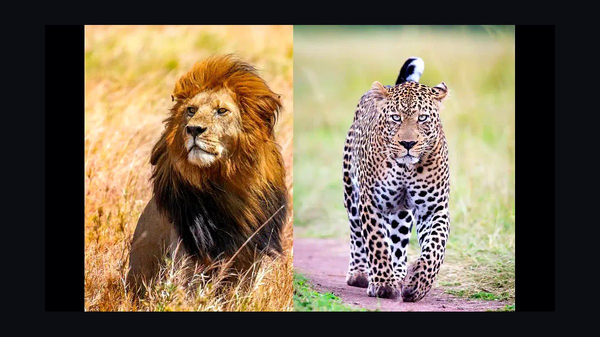 Top 10 Wildlife Watching Destinations in the World in 2027 — figure 4