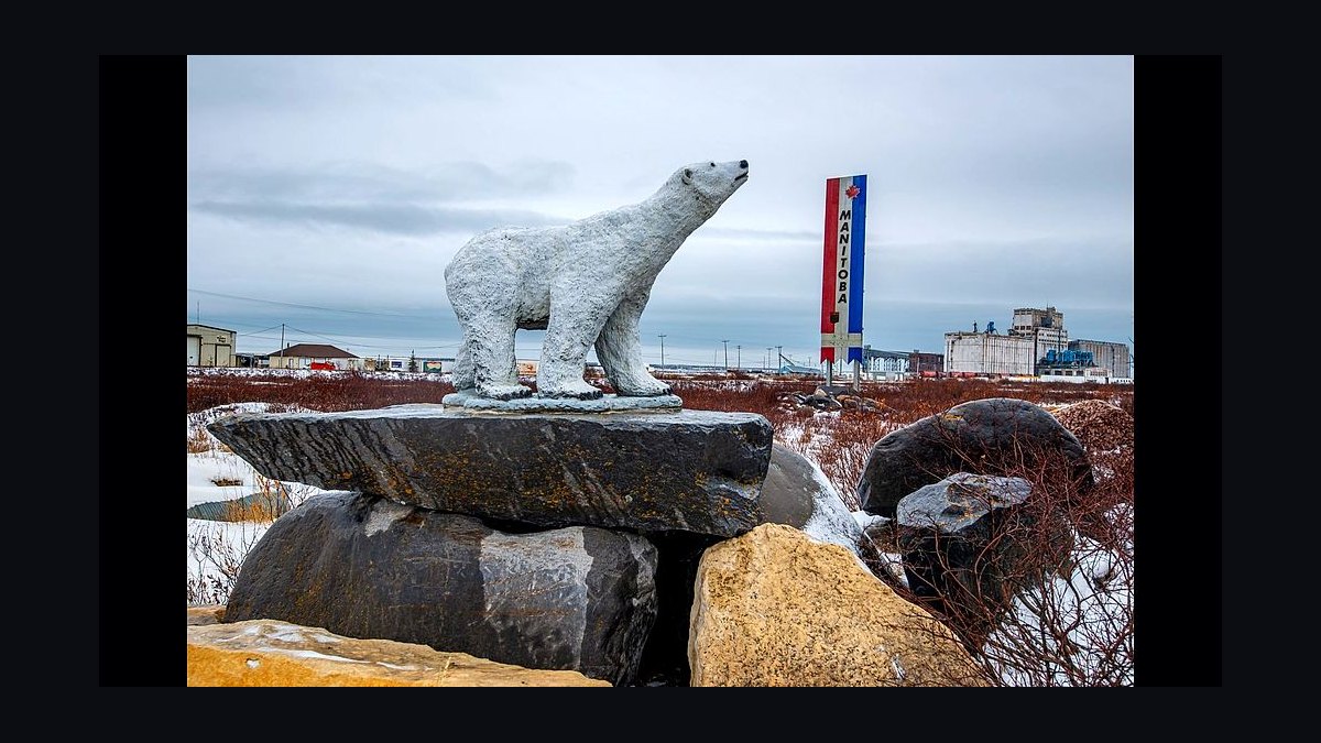 Top 10 Wildlife Watching Destinations in the World in 2027 — figure 5