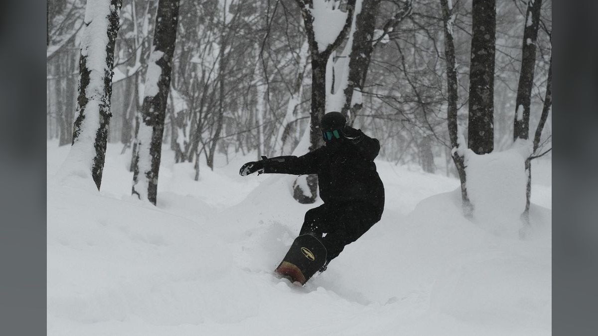 The 10 Best Powder Ski Resorts in Japan in 2027 — figure 1