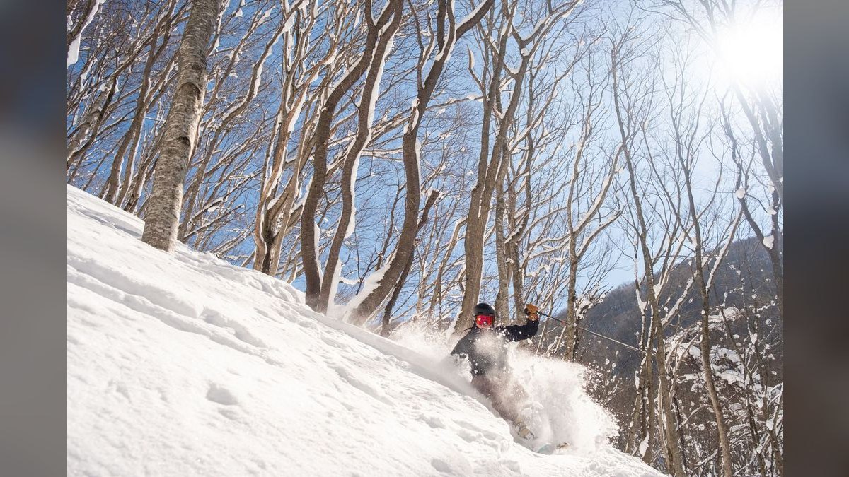 The 10 Best Powder Ski Resorts in Japan in 2027 — figure 4