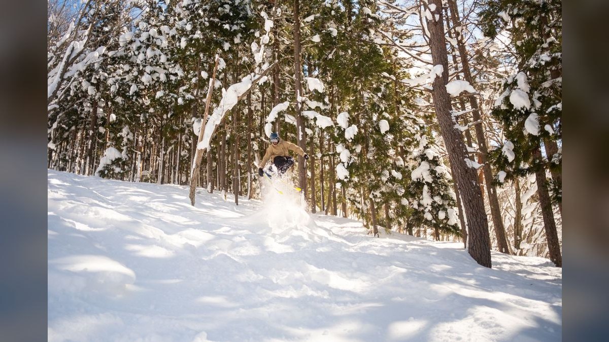 The 10 Best Powder Ski Resorts in Japan in 2027 — figure 5