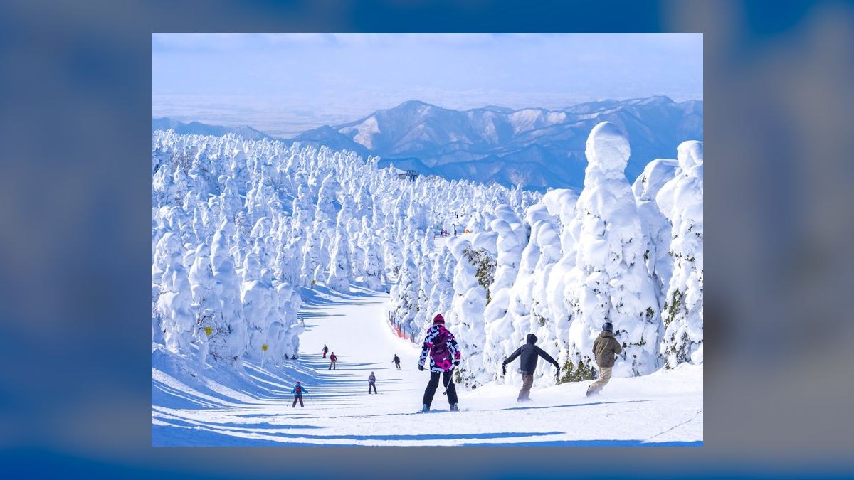 The 10 Best Powder Ski Resorts in Japan in 2027 — figure 9