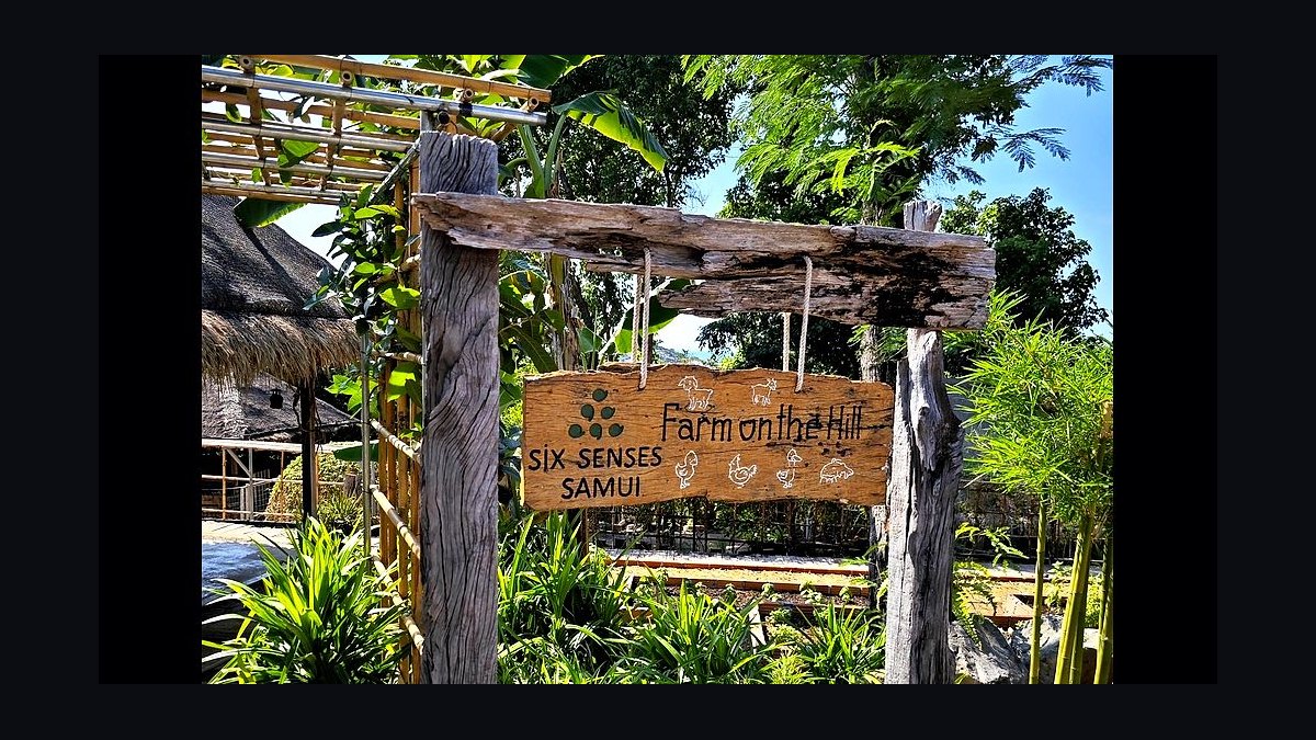 Top 10 Resorts in Koh Samui in 2027 — figure 4