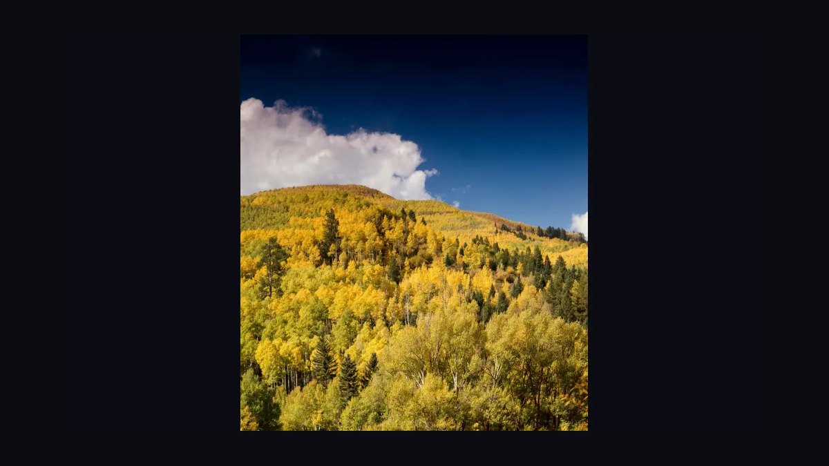 Top 10 Resorts in Colorado in 2027 — figure 7