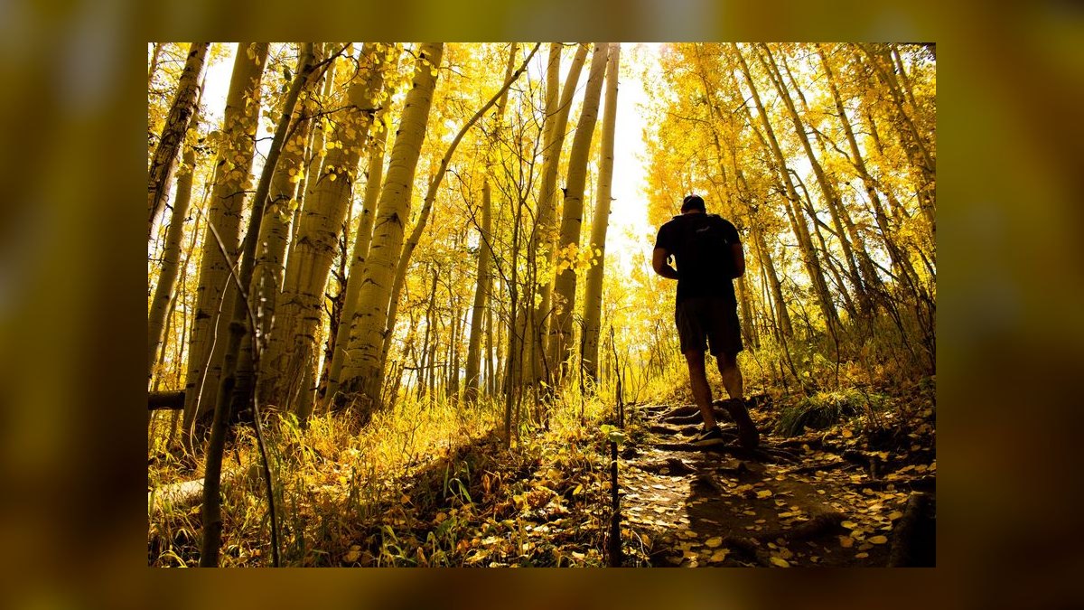 Top 10 Resorts in Vail in 2027 — figure 8