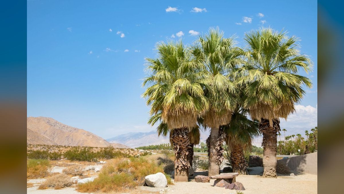 Top 10 Resorts in Palm Springs in 2027 — figure 4