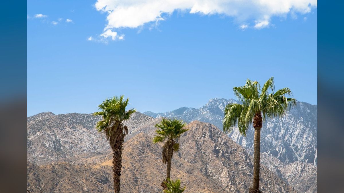 Top 10 Resorts in Palm Springs in 2027 — figure 5