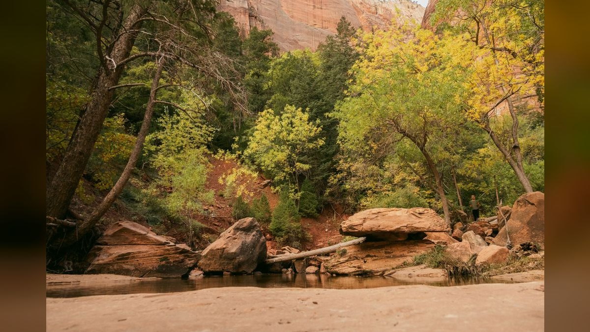 Top 10 Resorts in Zion in 2027 — figure 5