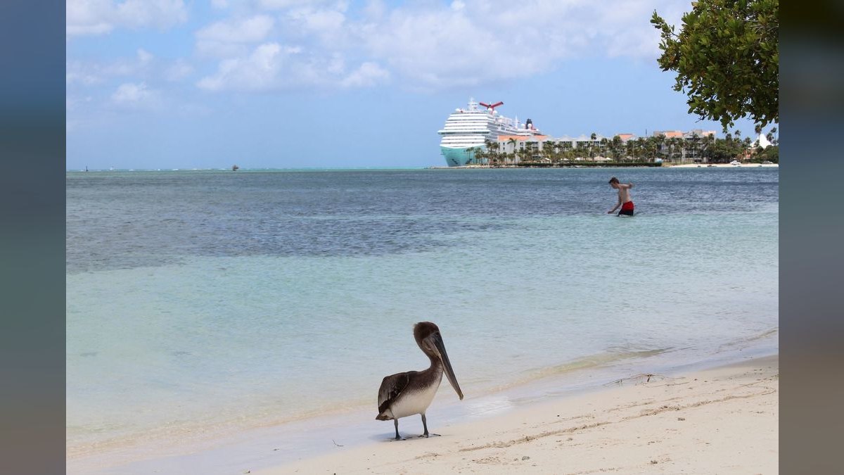 Top 10 All-Inclusive Resorts in Aruba in 2027 — figure 6